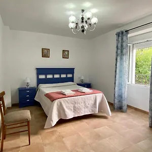 https://casilla-solea.es-andalucia.com